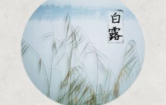 白露有哪些民俗,2019年白露所宜事项有哪些?