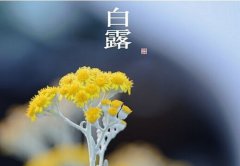 2019年白露是几月几号几点几分,老黄历卦象如何?