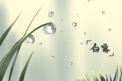 什么是“白露白迷迷,秋分稻秀齐”,2019年白露吉时解析!