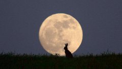 2019己亥年农历九月二十九出生的孩子星座与健康运势分析！