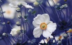 2019年霜降九月廿六黄历日子好吗,2019霜降时辰吉凶查询！