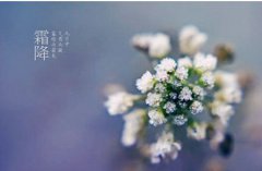 2019年霜降九月二十六签约可以吗,霜降节气如何养生?