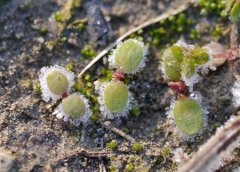 2019年九月廿六霜降迁坟吉利吗,2019年霜降卦象好不好?