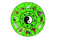 2019年教师节寅时出生的人喜用神是什么？