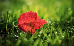 2019年9月8日白露节气酉时出生喜用神解析