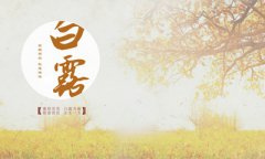 2019年9月8日白露节气出生在巳时的人喜用神是什么？