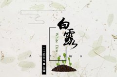 2019年9月8日白露节气丑时出生的人命好不好？