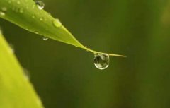 2019年9月8日白露这天忌讳什么,白露吃什么较能养生?