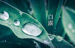 白露是什么季节，这个季节还有什么节气？