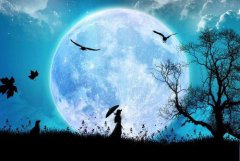 2019年农历九月二十九出生属猪的人是什么星座?不同性别分析