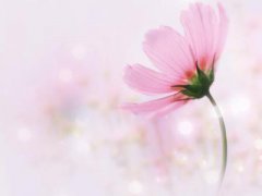 2019年九月初十出生的宝宝星座性格解析!