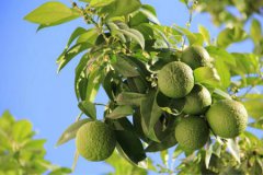 2019年阴历九月二十三签约好不好,今天时辰吉凶查询!