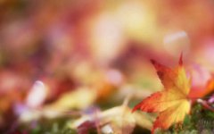 2019农历九月出生的是什么星座，农历九月生的人命运如何？