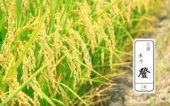 2019年处暑节气当天时辰吉凶情况！