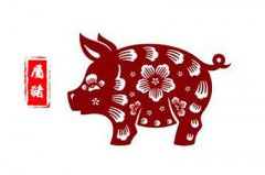 2019属猪人适合九月结婚吗？2019属猪人爱情方位