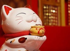 2019己亥年农历九月初四这天出生的人是什么星座?