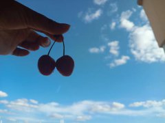 2019猪年农历九月初三出生的人属于什么星座，这天是什么日子？