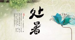 处暑不可以剃头剪头发吗？2019年处暑理发