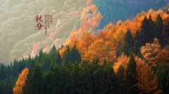 2019年八月二十五秋分提车好不好,2019秋分几月几日几点几分？