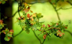 2019年处暑前一天可以出行出远门吗,处暑有什么风俗？