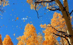 2019年八月廿四秋分前一天适合出殡吗,2019秋分几月几日？