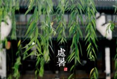 2019年处暑出生的人好吗,处暑出生的人性格好不好？