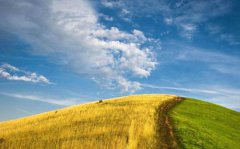 2019年8月23日处暑出生猪宝宝五行缺什么,属于什么命？