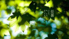 2019年处暑不能吃什么，处暑养生饮食禁忌