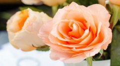 2019年农历八月十八签约好不好,今天卦象怎么样？