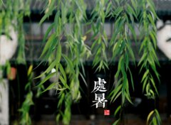 2019年处暑前一个节气是什么，处暑了还会热吗？