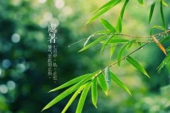 2019年处暑可以理发剪头发吗日子好不好，处暑理发吉利吗？