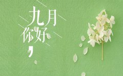 2019年农历九月是阳历几月？农历九月的猪宝宝好吗？