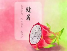 2019处暑是不是黄道吉日，几点几分为处暑？