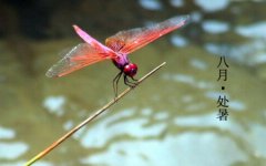 2019年处暑前一天搬家吉利吗,处暑前后搬家吉日推荐！