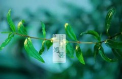 2019年处暑是什么季节，处暑温度有多少度？