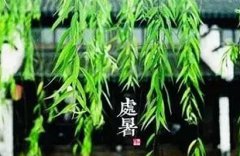 2019年处暑天气还热吗，处暑过后还要热多久？