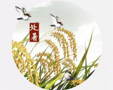 2019年8月23日处暑可以理发吗,2019年处暑天气如何？