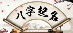 风雅颂易经网_算卦起名时候应该注重的几点因素（算命先生解析）