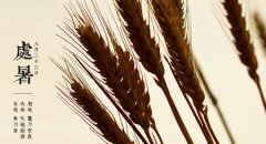 2019年8月23日处暑安床好吗,处暑节气下雨好不好？