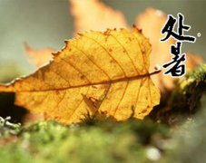 2019年处暑日子好不好是吉日吗,关于处暑节气谚语解析！