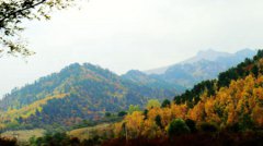 2019年8月23日处暑上梁适合吗,2019年出伏后天气还热吗？