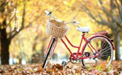 2019年农历九月有什么节日这些节日有什么习俗?