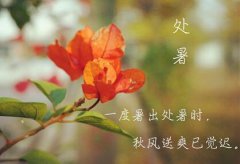 什么是处暑，处暑时辰是几点几分是什么时间？