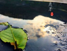 2019年8月23日处暑装修吉利吗,2019年处暑天气变凉了吗？