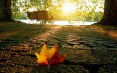 北半球处暑南半球是什么节气？2019处暑哪天？