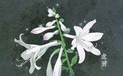 2019处暑具体时辰是多少,处暑时辰吉凶分析!