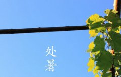 2019年处暑可以搬家吗？处暑节气的含义是什么？