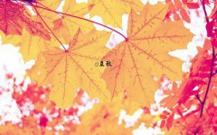 立秋节气的特点，立秋下雨万物收下一句是什么？