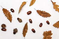 2019年立秋适合祭祀吗,秋老虎有什么气候特点？