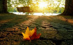 属鼠的人处暑节气出生好不好，命运怎么样？